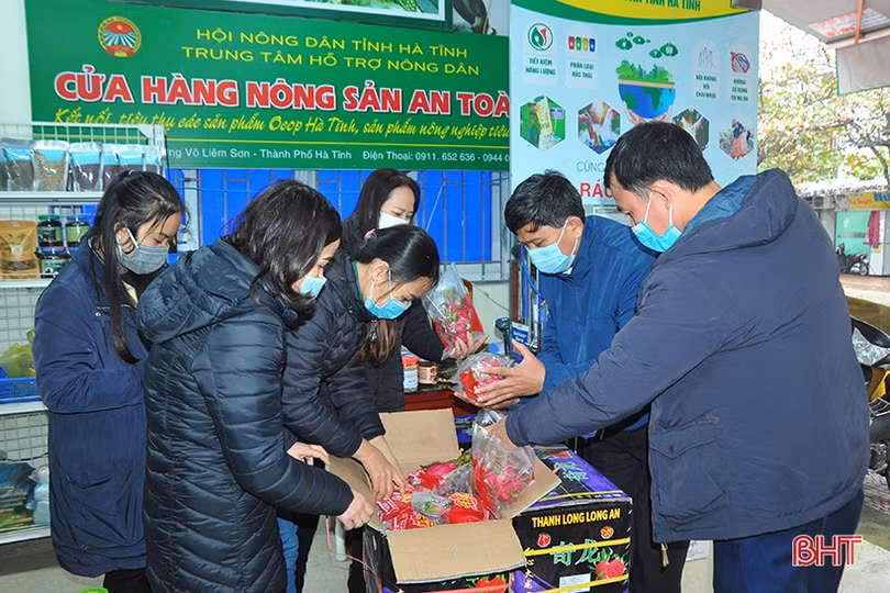 Người dân Hà Tĩnh đội mưa “giải cứu” thanh long ứ đọng ở cửa khẩu Tân Thanh 