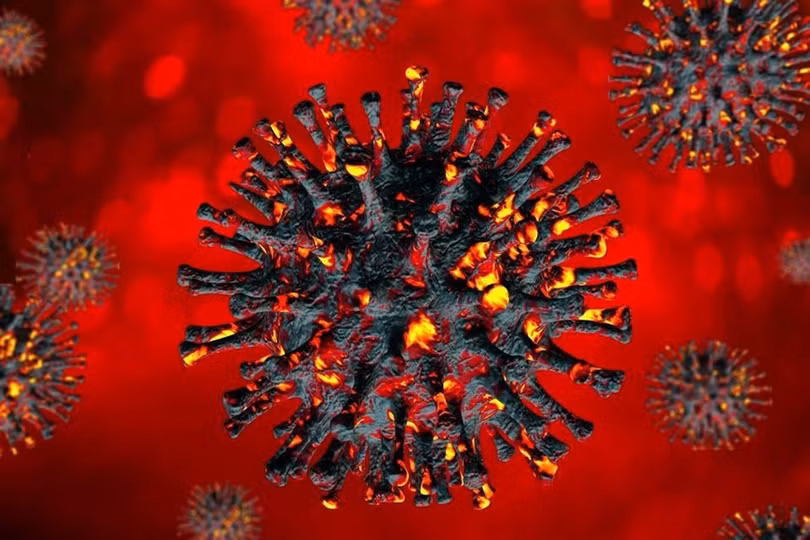 Nóng: Việt Nam phát hiện ca nhiễm biến chủng Omicron đầu tiên