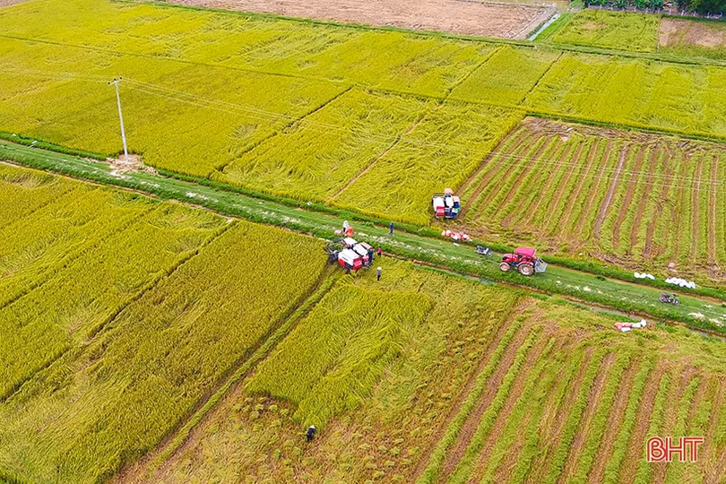 Nông nghiệp Hà Tĩnh - khi thách thức cũng là cơ hội
