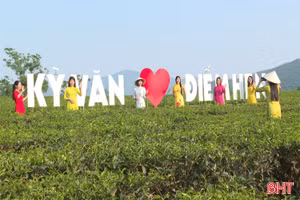 Trải nghiệm thú vị tại đồi chè Kỳ Văn