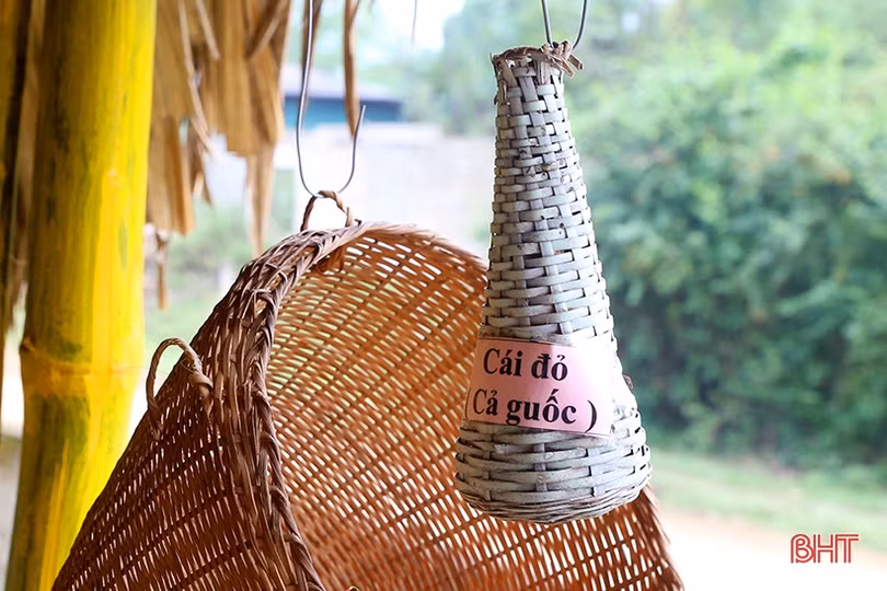 Hai cô giáo Hà Tĩnh “giữ hồn” bản Chứt ở Rào Tre