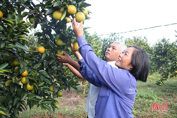 Háo hức đón Lễ hội Cam và sản phẩm nông nghiệp Hà Tĩnh 2018