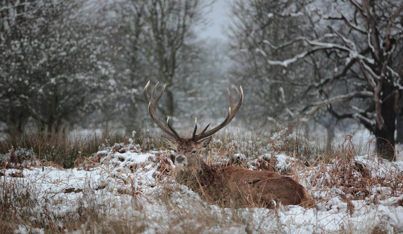 9 địa điểm không thể bỏ qua trong hành trình thưởng ngoạn mùa đông