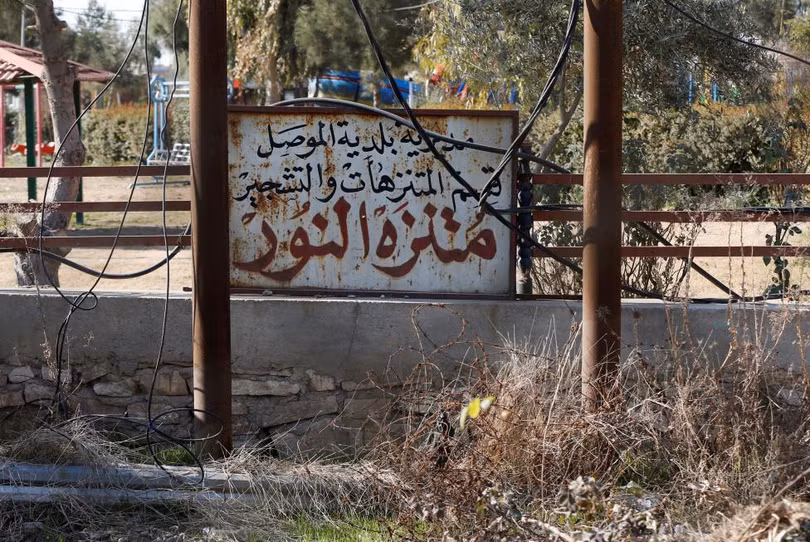 photo dong vat bi bo doi den chet trong so thu o mosul