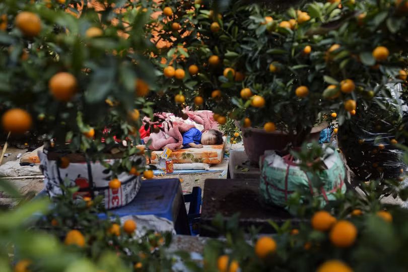 canh tet viet nam lot top anh kinh doanh noi bat nhat thang cua bloomberg