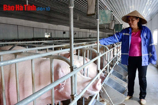 Quyết định 23 về hỗ trợ lãi suất - Mở cánh cửa tiếp cận nguồn vốn rẻ ảnh 1 Quyết định 23 về hỗ trợ lãi suất - Mở cánh cửa tiếp cận nguồn vốn rẻ ảnh 1