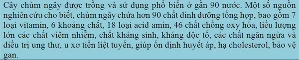 Cây chùm ngây mở hướng làm giàu ảnh 3 Cây chùm ngây mở hướng làm giàu ảnh 3