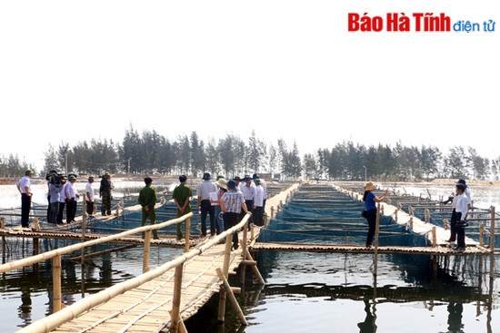 Tiếp tục tạo chuyển biến rõ nét trong xây dựng nông thôn mới ảnh 3