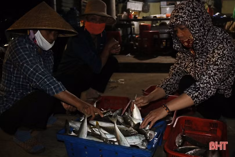 Về Hà Tĩnh đi chợ cá sớm mai