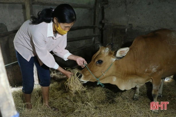 Tín dụng chính sách giúp người nghèo Hà Tĩnh vượt qua đại dịch