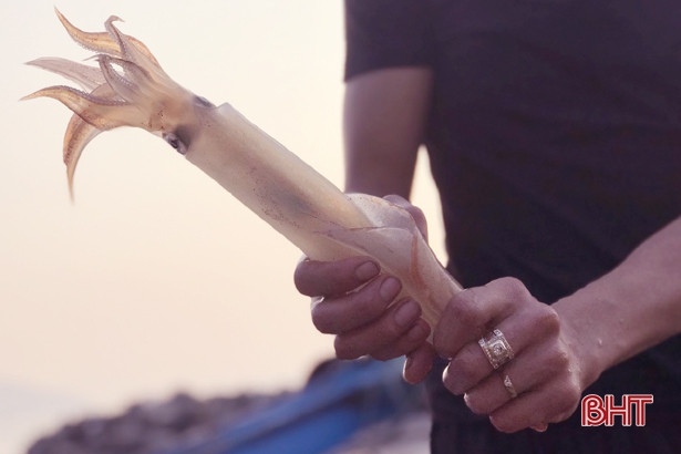 Về Hà Tĩnh không quên “Mực nhảy Vũng Áng”