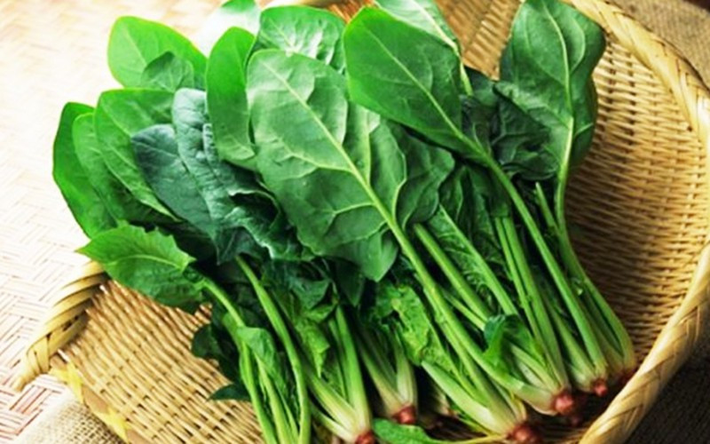 9 loại thực phẩm tuyệt vời giúp giải nhiệt hiệu quả khi hè đến hình 8 9 loại thực phẩm tuyệt vời giúp giải nhiệt hiệu quả khi hè đến