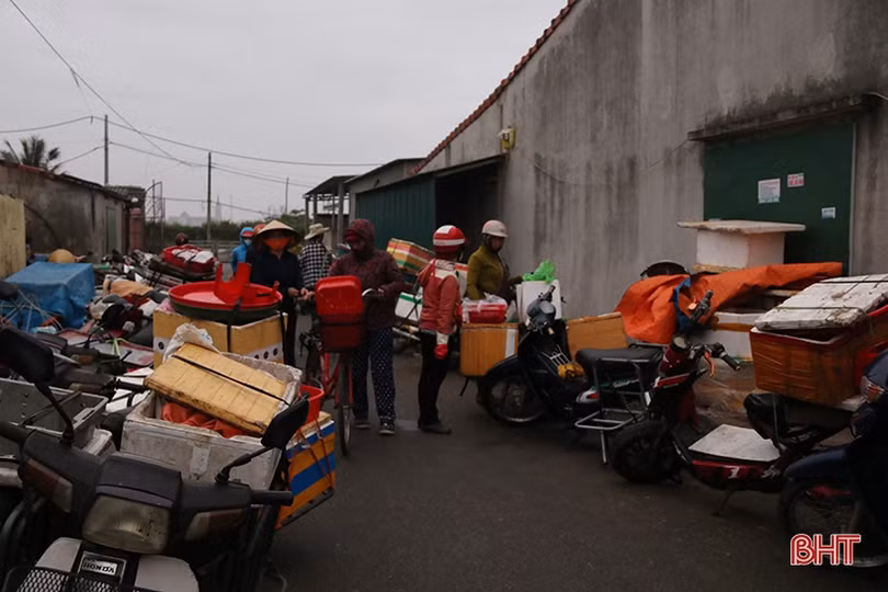 Về Hà Tĩnh đi chợ cá sớm mai