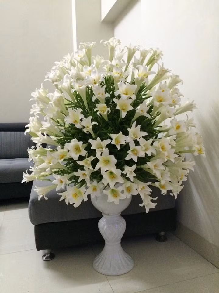 Những bình hoa duyên dáng khoe sắc trong tổ ấm của mẹ đảm Hà Thành