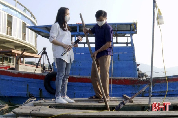 Về Hà Tĩnh không quên “Mực nhảy Vũng Áng”