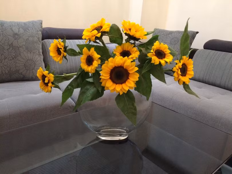 Những bình hoa duyên dáng khoe sắc trong tổ ấm của mẹ đảm Hà Thành