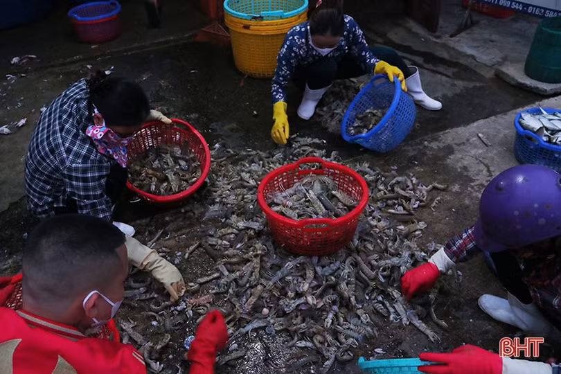 Về Hà Tĩnh đi chợ cá sớm mai