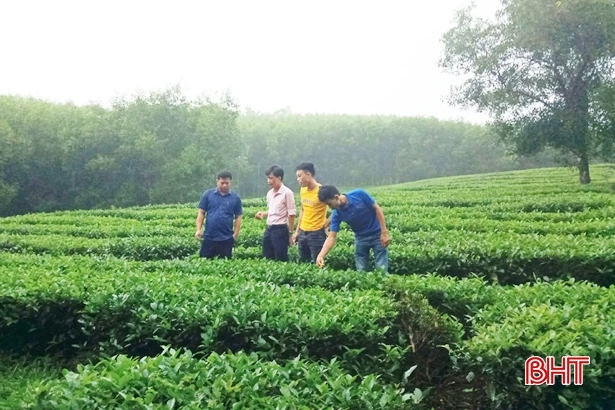 Tín dụng chính sách giúp người nghèo Hà Tĩnh vượt qua đại dịch