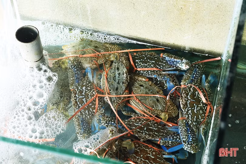 Biển Hà Tĩnh hấp dẫn ngay ngày đầu nghỉ lễ