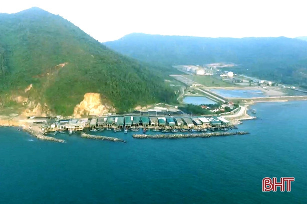 Về Hà Tĩnh không quên “Mực nhảy Vũng Áng”