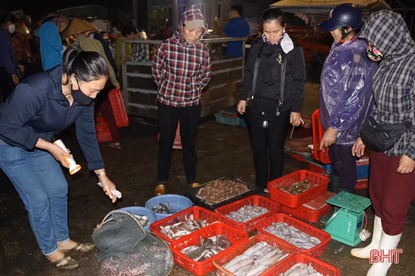 Về Hà Tĩnh đi chợ cá sớm mai