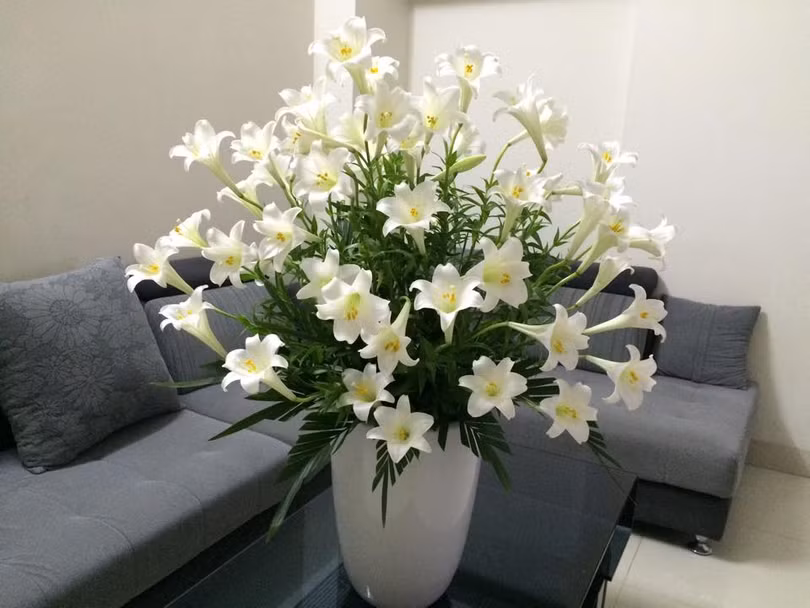 Những bình hoa duyên dáng khoe sắc trong tổ ấm của mẹ đảm Hà Thành