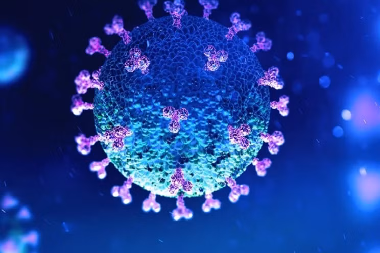 WHO khẳng định virus SARS-CoV-2 “có nguồn gốc tự nhiên”