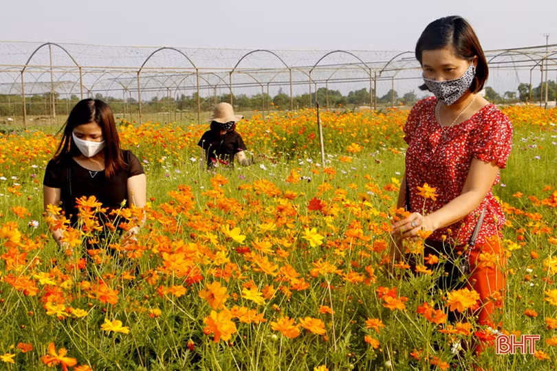 Du lịch biển Hà Tĩnh chiếm 70% du khách trong dịp lễ 30/4, 1/5