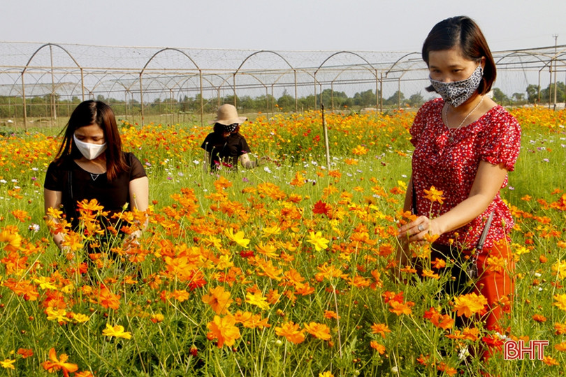 Du lịch biển Hà Tĩnh chiếm 70% du khách trong dịp lễ 30/4, 1/5