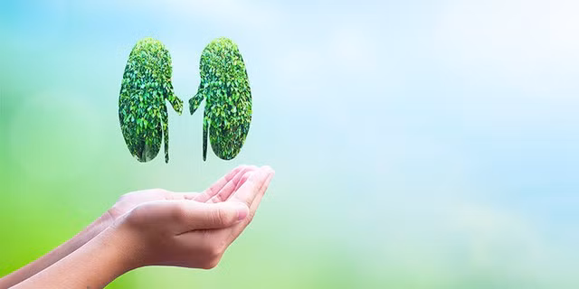 Những thói quen tốt cho thận cần thực hiện ngay