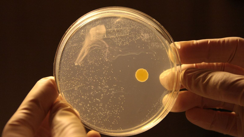 Các nhà khoa học Australia sản xuất điện từ không khí loãng