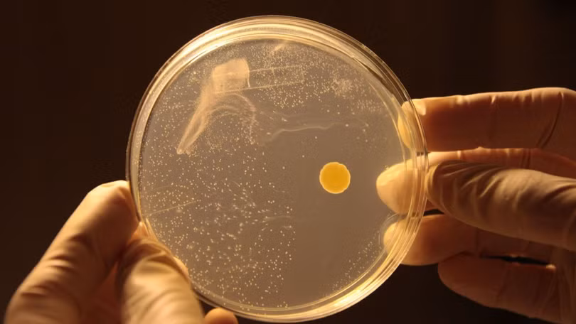 Các nhà khoa học Australia sản xuất điện từ không khí loãng