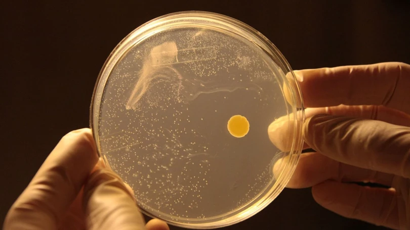 Các nhà khoa học Australia sản xuất điện từ không khí loãng