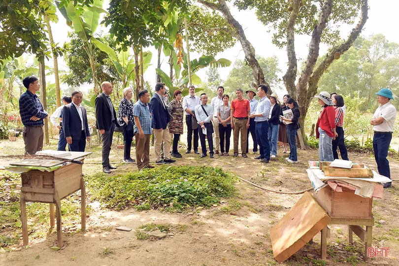 Nghị sỹ Quốc hội CHLB Đức tham quan một số mô hình nông nghiệp tại Hà Tĩnh