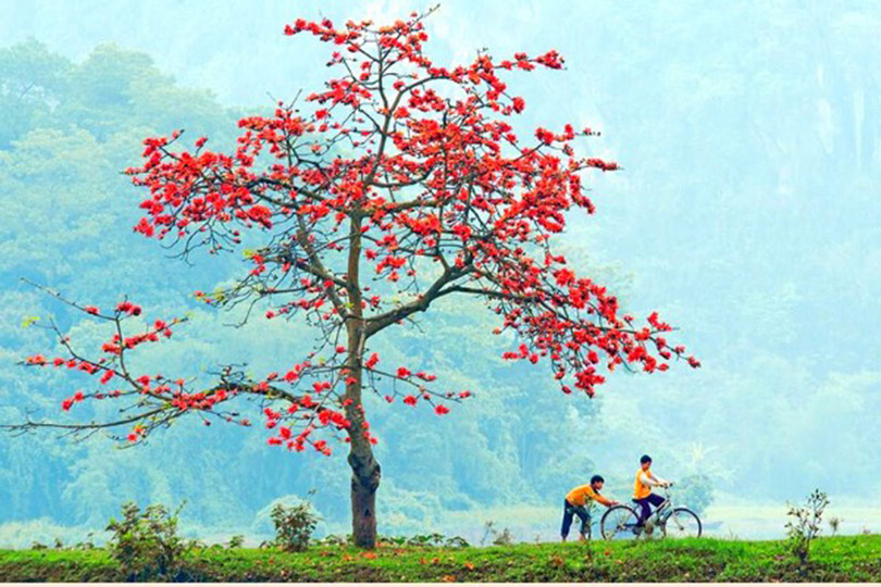 Dịu dàng màu nắng tháng ba