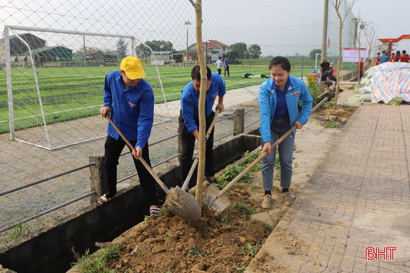 Đoàn cơ sở Agribank tỉnh Hà Tĩnh tài trợ cây xanh xây dựng nông thôn mới