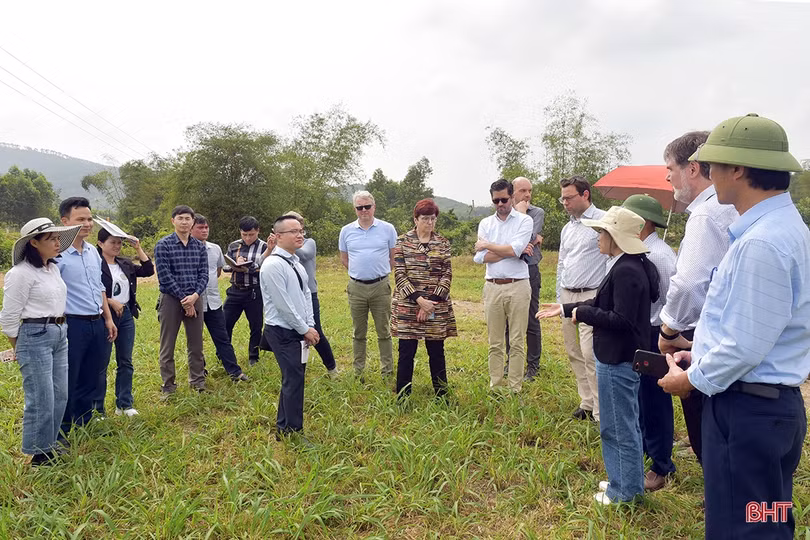 Nghị sỹ Quốc hội CHLB Đức tham quan một số mô hình nông nghiệp tại Hà Tĩnh