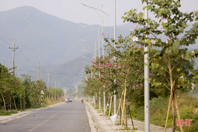 Vẻ đẹp của hoa ban trên cung đường dẫn tới Hoan Châu đệ nhất danh lam 