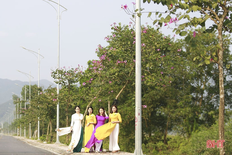 Vẻ đẹp của hoa ban trên cung đường dẫn tới Hoan Châu đệ nhất danh lam 