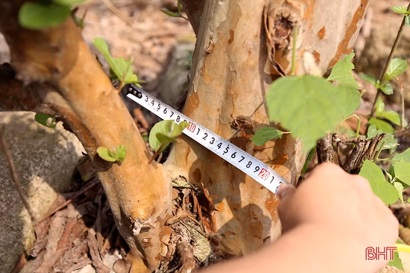 Hà Tĩnh nỗ lực giải phóng mặt bằng dự án cao tốc Bắc – Nam