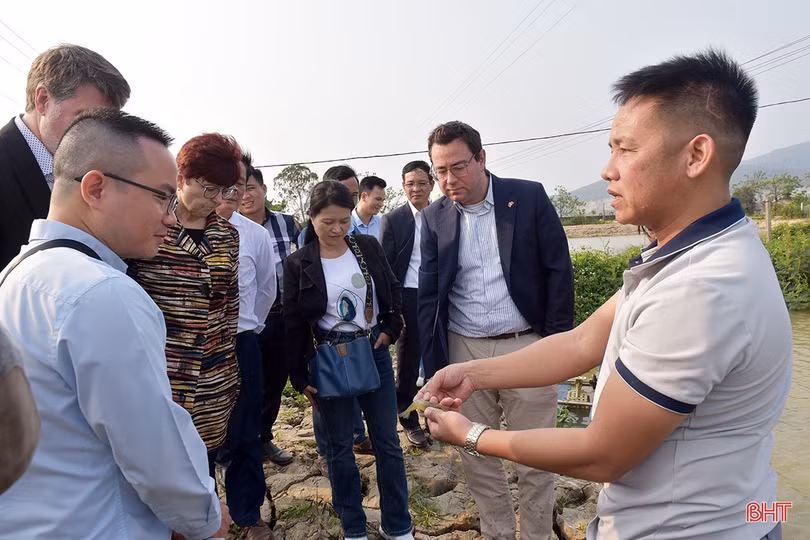 Nghị sỹ Quốc hội CHLB Đức tham quan một số mô hình nông nghiệp tại Hà Tĩnh