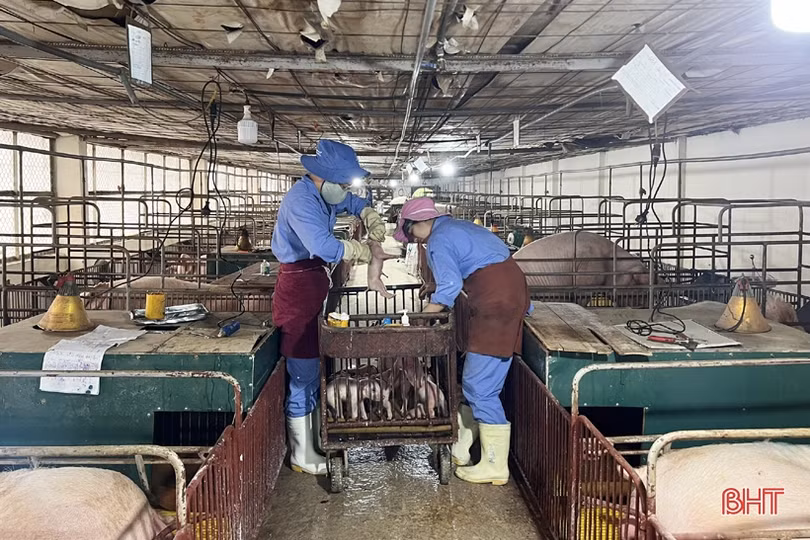 Các ngân hàng ở Hà Tĩnh tiếp tục giảm lãi suất huy động vốn