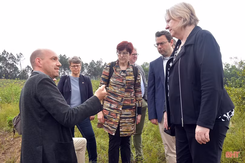 Nghị sỹ Quốc hội CHLB Đức tham quan một số mô hình nông nghiệp tại Hà Tĩnh