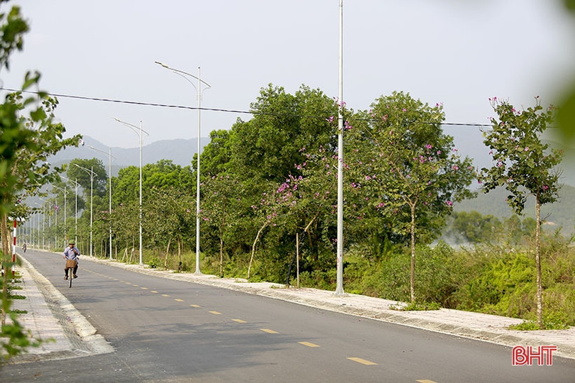 Vẻ đẹp của hoa ban trên cung đường dẫn tới Hoan Châu đệ nhất danh lam 