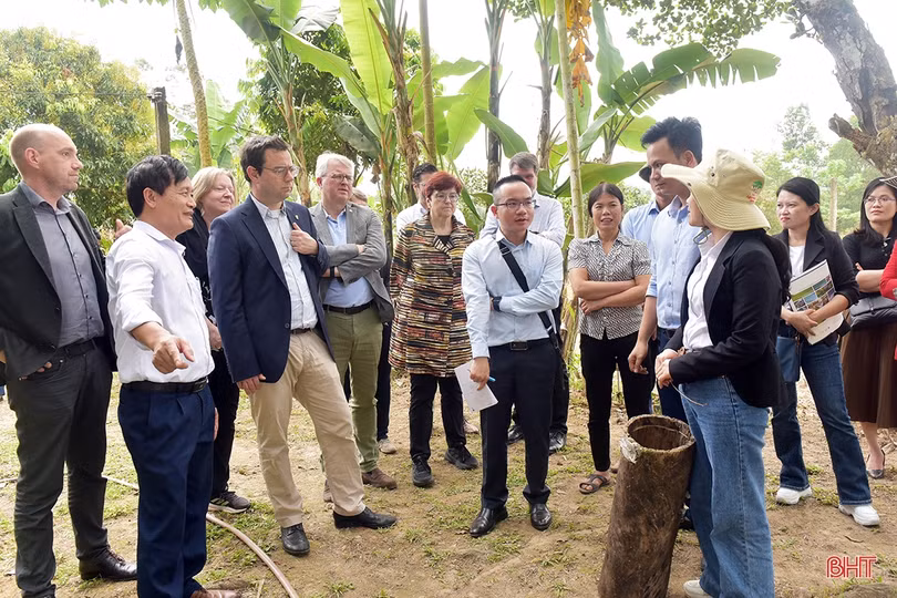 Nghị sỹ Quốc hội CHLB Đức tham quan một số mô hình nông nghiệp tại Hà Tĩnh