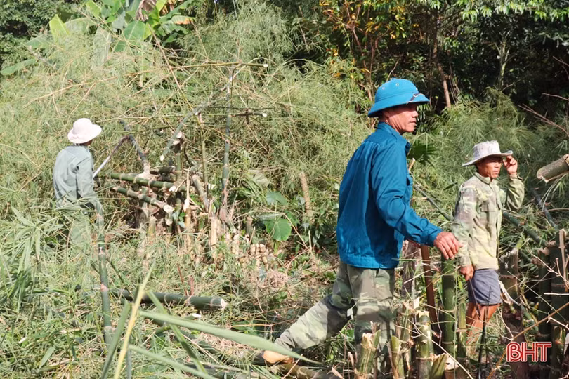 Vũ Quang tổ chức nhiều hoạt động chào mừng đại hội hội nông dân các cấp 