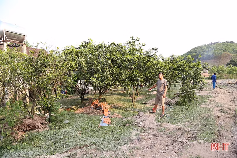 Hà Tĩnh nỗ lực giải phóng mặt bằng dự án cao tốc Bắc – Nam