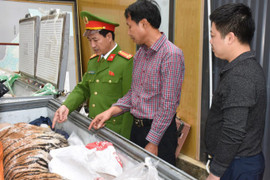 Hai người bị bắt vì mua hai con hổ 400 kg nấu cao bán dịp Tết