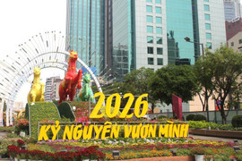 Chào Xuân mới Bính Ngọ: Thế và lực cho kỷ nguyên mới