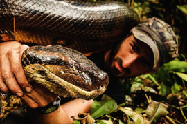 20 năm giải mã Amazon của nhà thám hiểm Mỹ